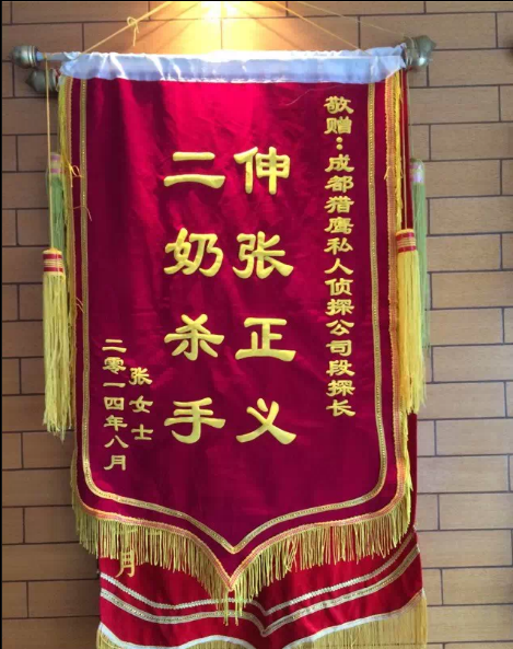 雅安纪律调查
